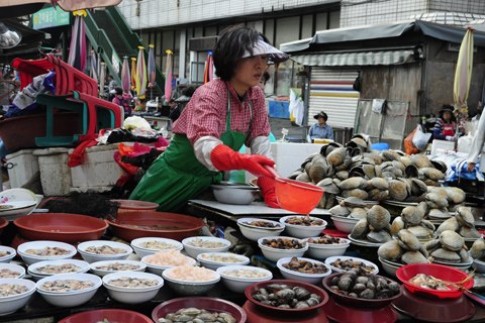 Jagalchi - khu chợ cá lớn nhất Hàn Quốc