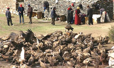 ‘Thiên táng’ rùng rợn và các tục chôn cất của người Tây Tạng