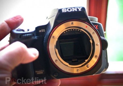 Dân Anh chuộng Sony hơn Nikon