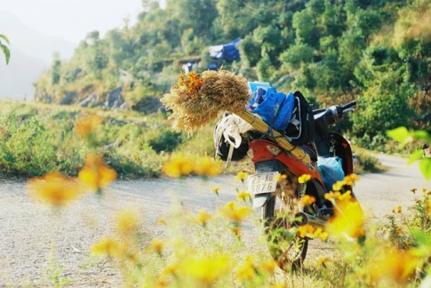 Hà Giang: Đi xe máy cho ta cảm giác thích thú, bắt kịp những khung cảnh đẹp lạ