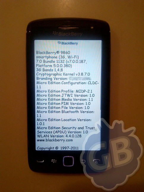 Lộ ảnh BlackBerry Touch Monza 9860