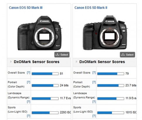 Điểm cảm biến D800 vượt trội so với 5D Mark III