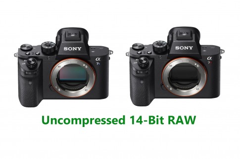Sony chuẩn bị cập nhật firmware mới cho dòng máy Alpha: tập trung nâng cấp chất lượng ảnh chụp