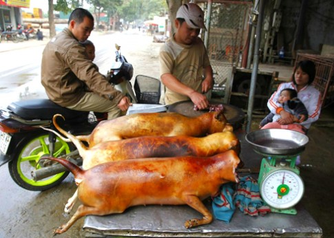 Thịt chó, chuột đồng Việt vào top món ăn ‘kinh dị’ thế giới