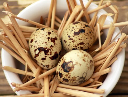 “Ngã ngửa” với độ dinh dưỡng 4 loại trứng phổ biến cho bé
