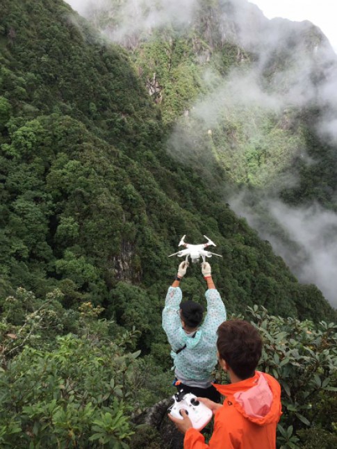 Chó nghiệp vụ, flycam tìm kiếm du khách Anh ở Fansipan