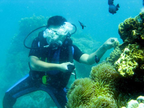 Kỳ thú lặn biển Nha Trang
