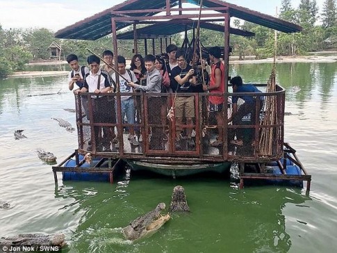 Rợn người du khách TQ dùng bè tạm bợ cho bầy cá sấu ăn