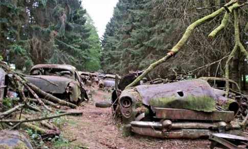 Rùng rợn nghĩa địa ô tô 70 năm tuổi ở Bỉ