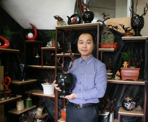 Dân tình lùng sục mua nấm linh chi bonsai tiền triệu