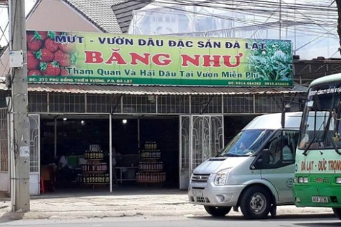 Trả hàng đã mua, du khách bị đánh ở Đà Lạt	