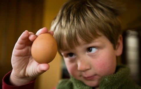 Trẻ em ăn bao nhiêu trứng là đủ?