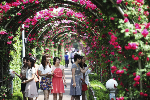 Cuối tuần này, người Hà Nội có hẹn với lễ hội hoa hồng siêu “hot”