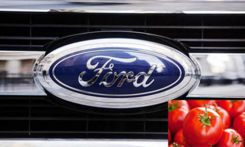  Ford sử dụng cà chua làm phụ tùng ôtô 