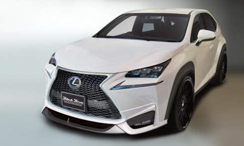  Lexus NX độ của Wald International 