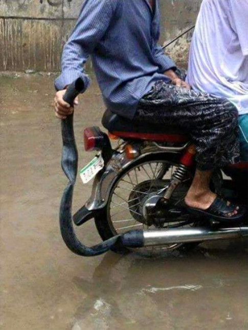  Nối dài ống xả xe máy để tránh lụt? 