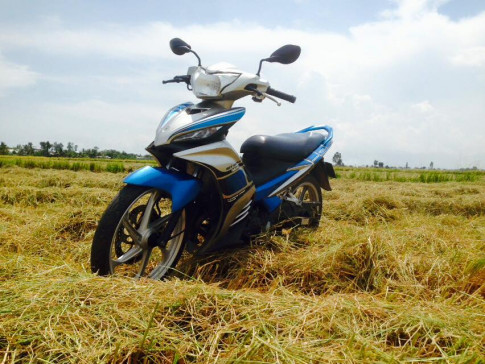 Exciter 135cc giữa cánh đồng mùa gặt lúa