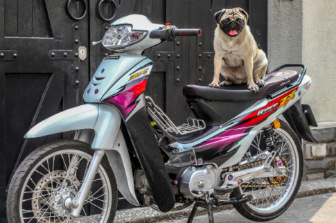 wave-zx-do-dan-chan-quyen-ru-