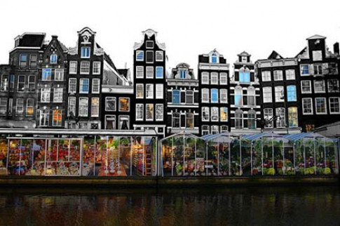 Chợ hoa nổi duy nhất trên thế giới tại Amsterdam
