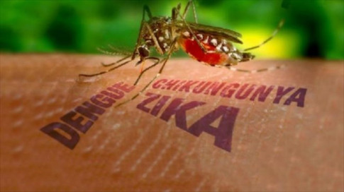 Thiết lập 8 điểm giám sát trọng điểm virus Zika tại khu vực phía Nam