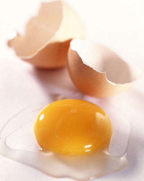 Ăn trứng sống dễ nhiễm khuẩn