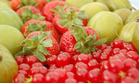Bí quyết giải độc cơ thể bằng hoa quả